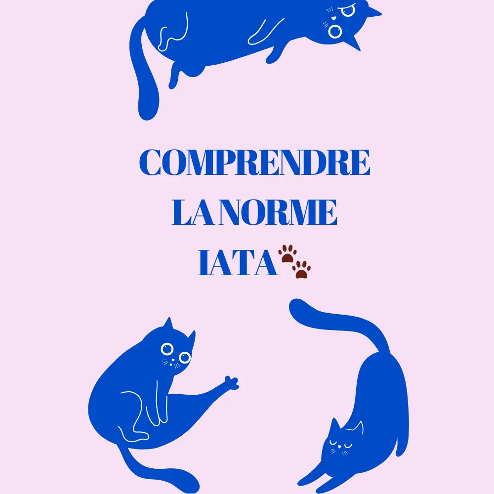 Norme iATA pour le transport des chats