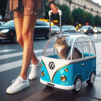 Chat_dans_caisse_de_transport_VW