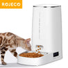 Distributeur de Croquette pour Chat Rojeco