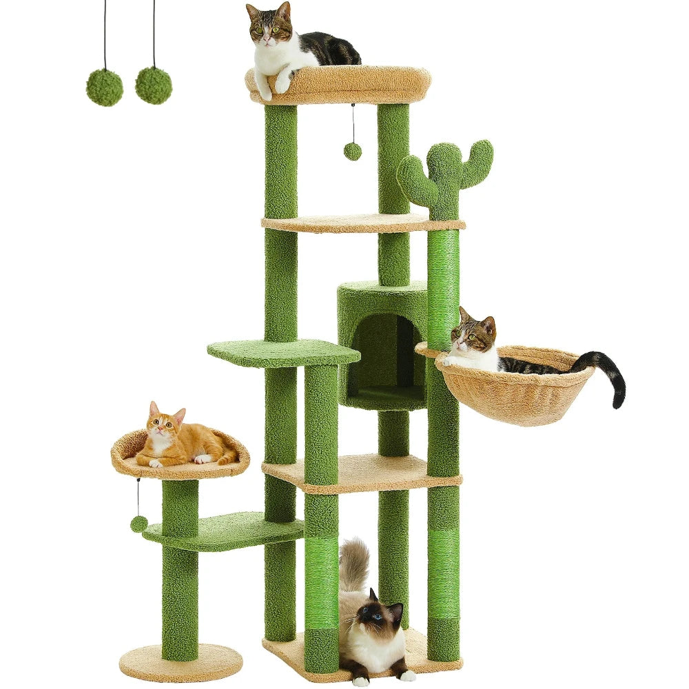 Griffoir Cactus XL Aventure avec chat