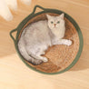 Panier en osier pour chat avec chat blanc 