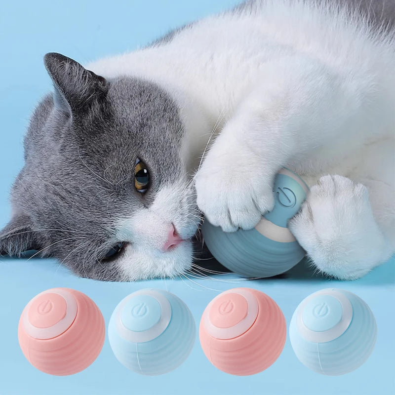 Jouet Interactif Rolling Ball pour Chat