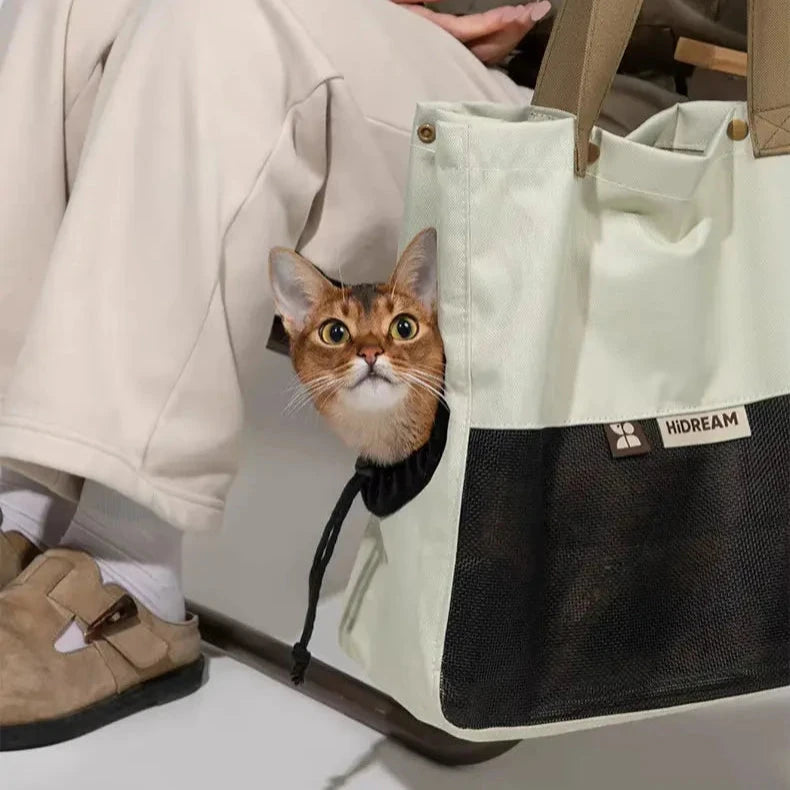 Sac de transport pour chat Tote bag Beige avec chat roux