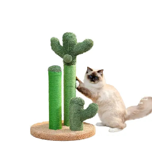 Griffoir Cactus Mini Miaou