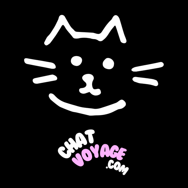 Chat Voyage
