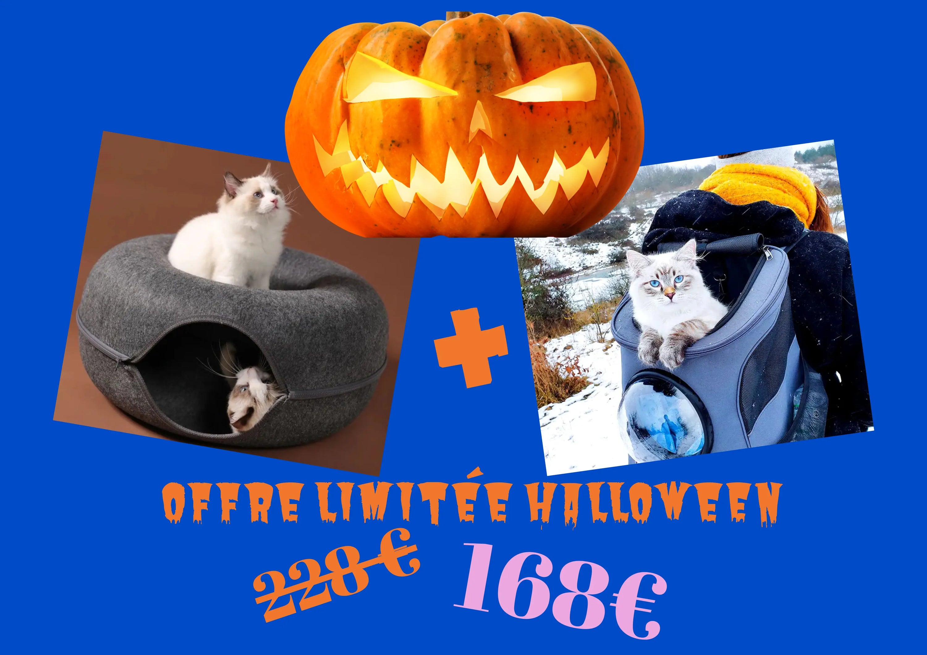 Offre Spéciale Halloween 🎃