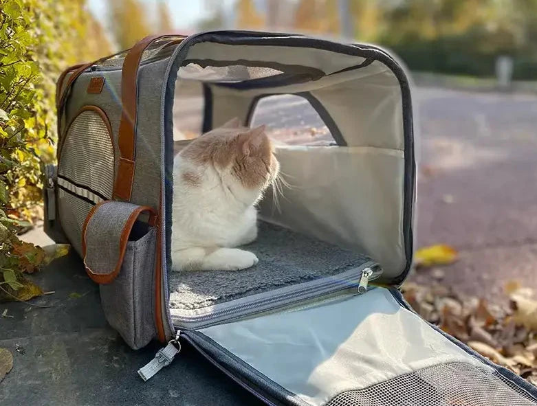 sac-de-transport-pour-chat-gris ouvert a exterieur